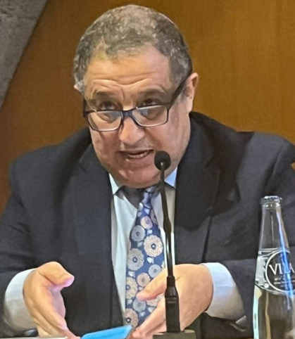 H.E. Ambassador Professor Karim Errouaki